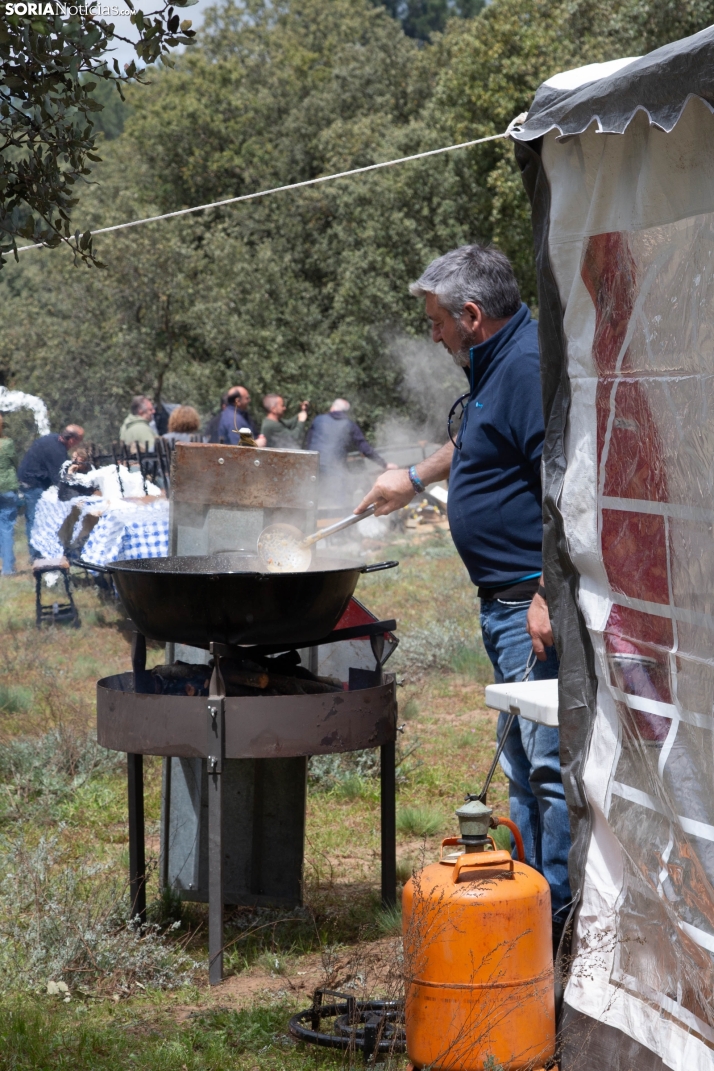 San Marcos en Ólvega 2025