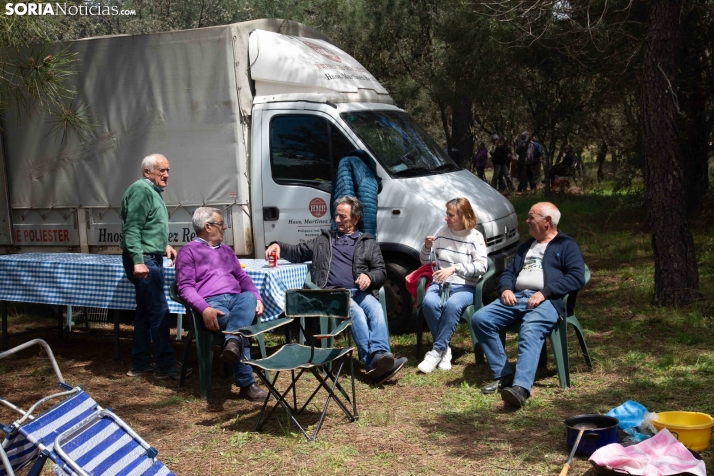 San Marcos en Ólvega 2025