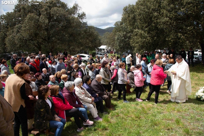 San Marcos en Ólvega 2025
