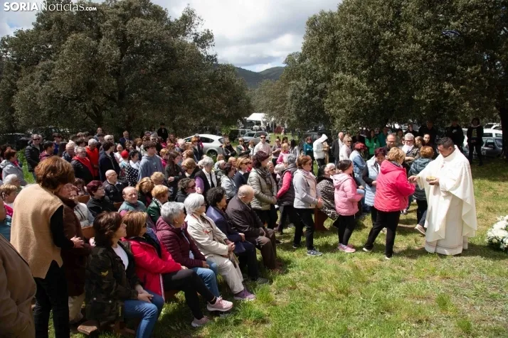 San Marcos en Ólvega 2025