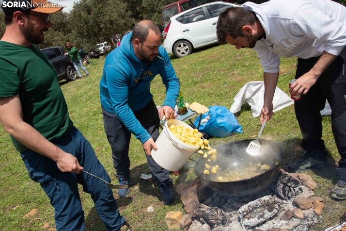 San Marcos en Ólvega 2025