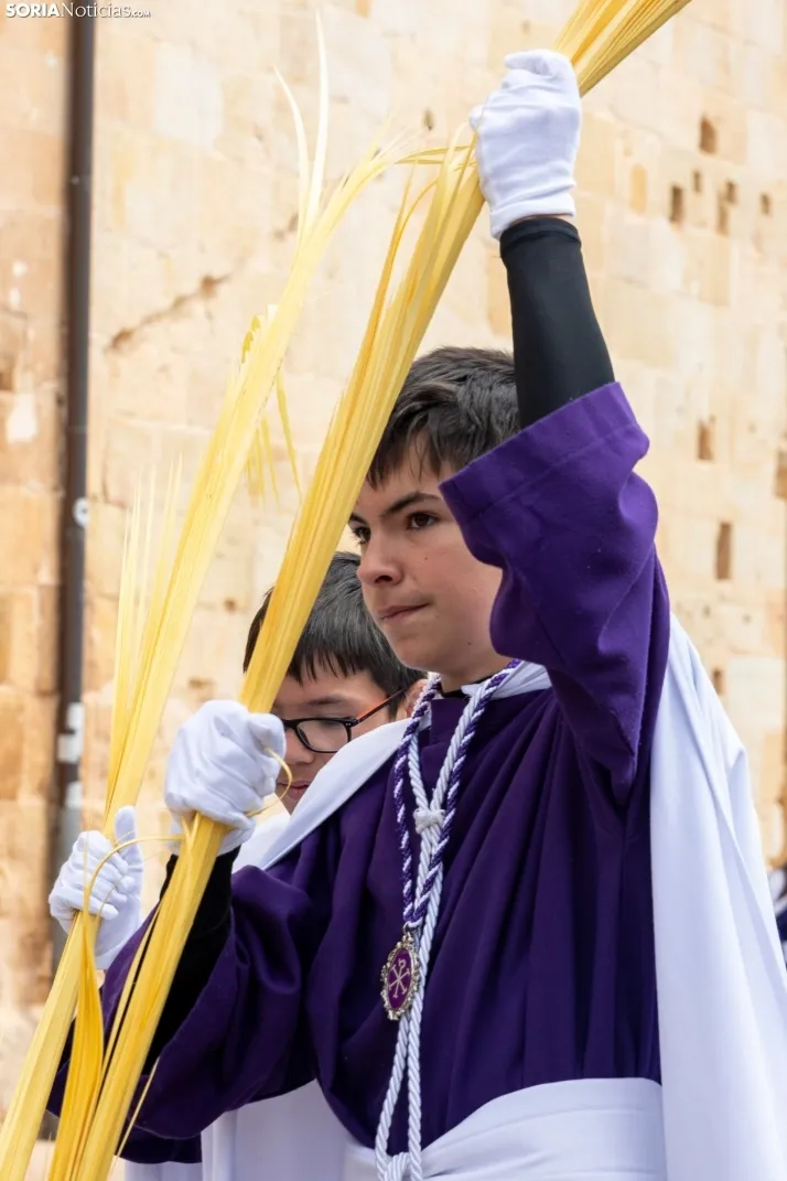 Entrada de Jesús en Jerusalén./ Viksar Fotografía