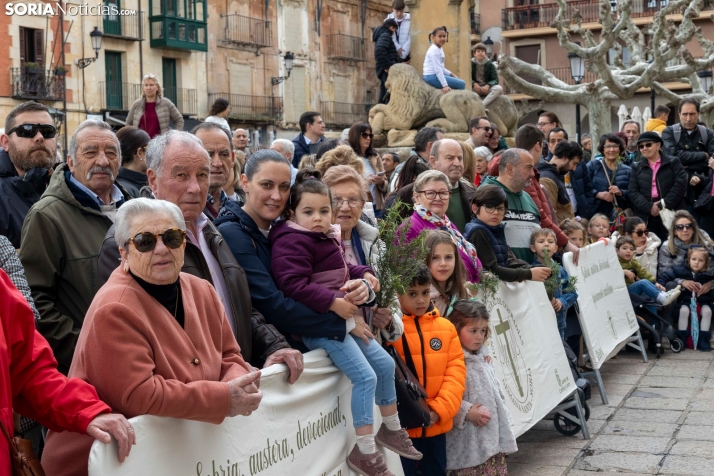 Entrada de Jesús en Jerusalén./ Viksar Fotografía