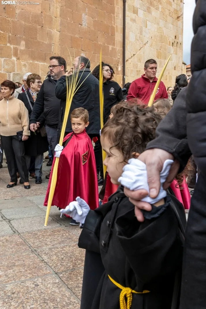Entrada de Jesús en Jerusalén./ Viksar Fotografía