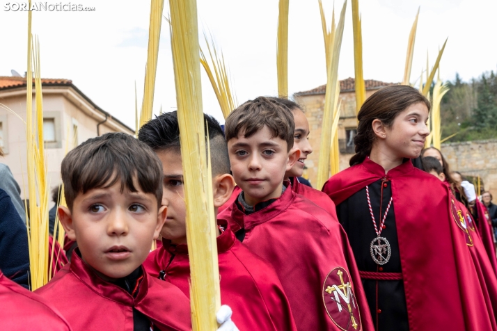 Entrada de Jesús en Jerusalén./ Viksar Fotografía