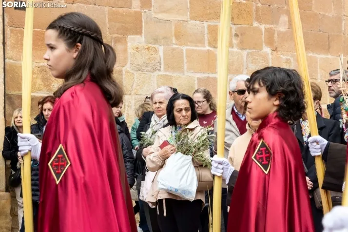 Entrada de Jesús en Jerusalén./ Viksar Fotografía
