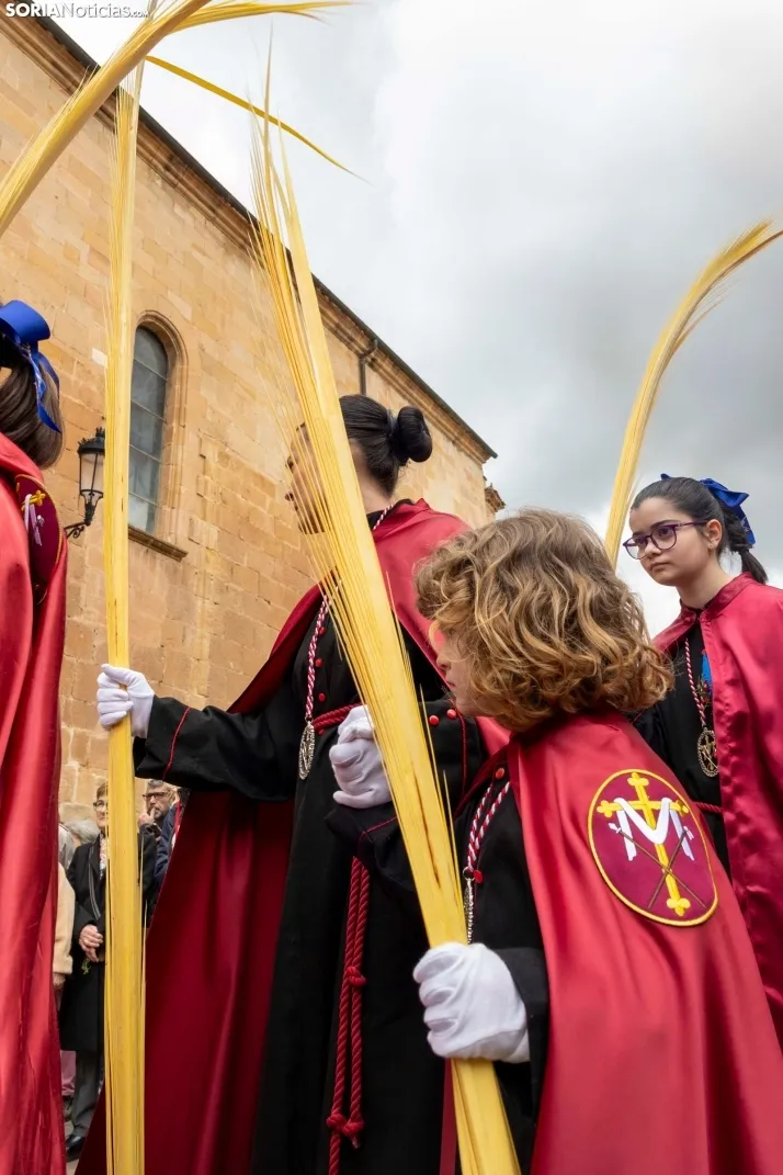 Entrada de Jesús en Jerusalén./ Viksar Fotografía
