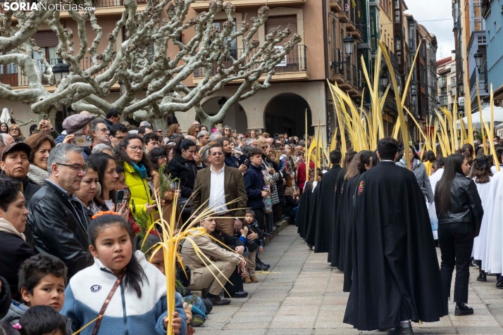 Entrada de Jesús en Jerusalén./ Viksar Fotografía