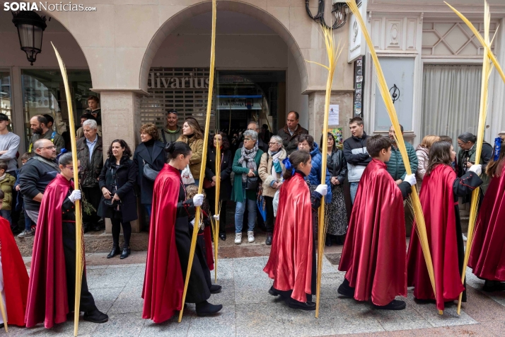 Entrada de Jesús en Jerusalén./ Viksar Fotografía