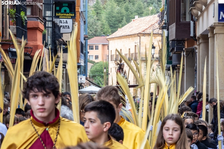 Entrada de Jesús en Jerusalén./ Viksar Fotografía