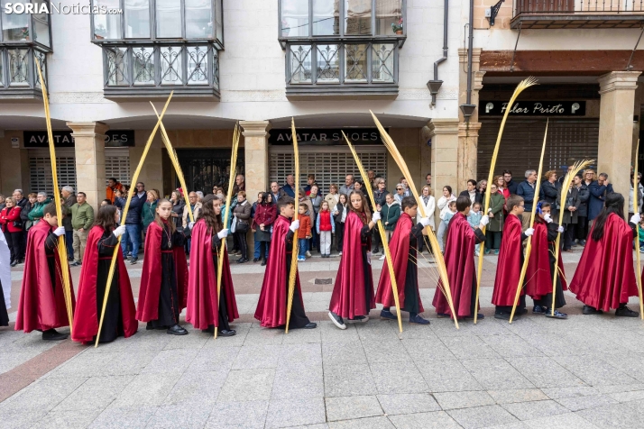 Entrada de Jesús en Jerusalén./ Viksar Fotografía