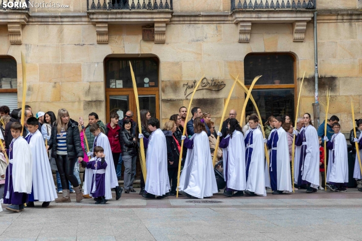 Entrada de Jesús en Jerusalén./ Viksar Fotografía