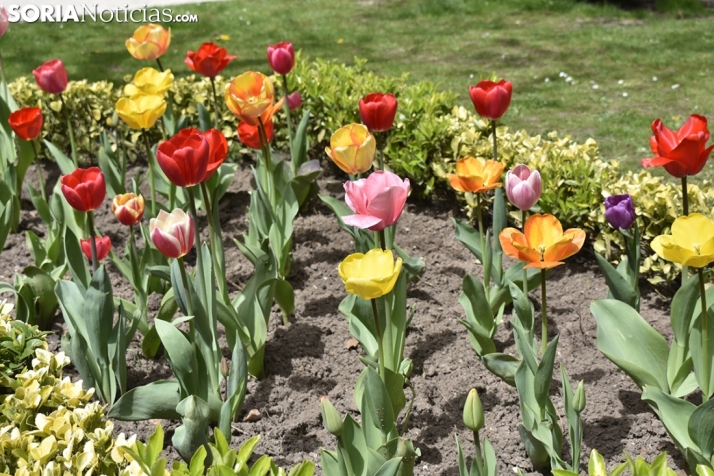 Las tormentas de ayer refrescan las temperaturas de hoy