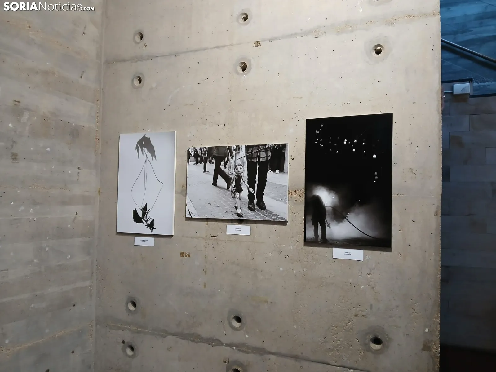 Foto 2 - Arte con alma joven: El Certamen de Creaci&oacute;n Joven re&uacute;ne 107 propuestas en su 29.&ordf; edici&oacute;n