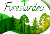 Foto 1 - Soria inaugura el ForesTardeo: un afterwork para aprender sobre temas forestales en un ambiente informal