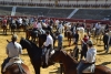 Foto 1 - La Romería Ecuestre Soria-Valonsadero regresa este sábado: todos los detalles de una jornada a caballo