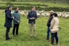 Visita del director general de Política Agraria Comunitaria, hoy, a una explotación de ovino ecológica en Burgos. /Jta.