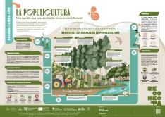 Foto 5 - ASFOSO lanza el proyecto Reconecta, con herramientas para revitalizar actividades sostenibles en fincas forestales privadas