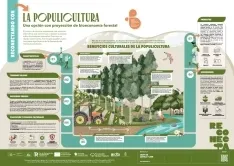 Foto 5 - ASFOSO lanza el proyecto Reconecta, con herramientas para revitalizar actividades sostenibles en fincas forestales privadas