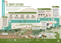 Foto 6 - ASFOSO lanza el proyecto Reconecta, con herramientas para revitalizar actividades sostenibles en fincas forestales privadas