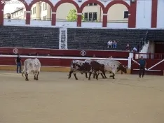 Una imagen de la plaza de San Benito esta mañana de sábado. /PC