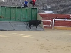 Una imagen de la plaza de San Benito esta mañana de sábado. /PC