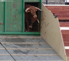 Una imagen de la plaza de San Benito esta mañana de sábado. /PC