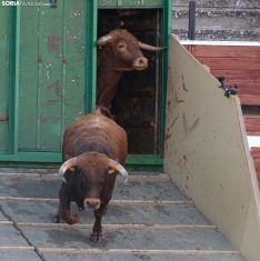 Una imagen de la plaza de San Benito esta mañana de sábado. /PC