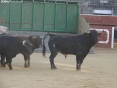 Una imagen de la plaza de San Benito esta mañana de sábado. /PC