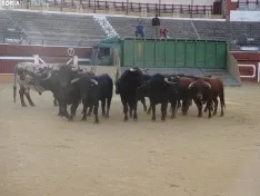 Una imagen de la plaza de San Benito esta mañana de sábado. /PC