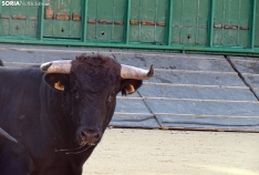 Una imagen de la plaza de San Benito esta mañana de sábado. /PC