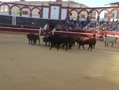 Una imagen de la plaza de San Benito esta mañana de sábado. /PC