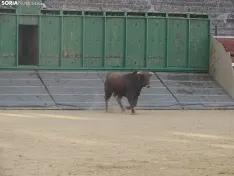 Una imagen de la plaza de San Benito esta mañana de sábado. /PC