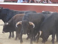 Una imagen de la plaza de San Benito esta mañana de sábado. /PC