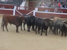 Una imagen de la plaza de San Benito esta mañana de sábado. /PC