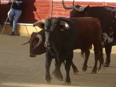 Una imagen de la plaza de San Benito esta mañana de sábado. /PC