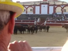 Una imagen de la plaza de San Benito esta mañana de sábado. /PC