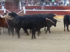 Una imagen de la plaza de San Benito esta mañana de sábado. /PC