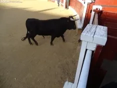 Una imagen de la plaza de San Benito esta mañana de sábado. /PC
