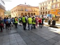 Foto 19 - Soria se vuelca con ASAMIS: multitudinaria marcha por la solidaridad y la inclusi&oacute;n laboral