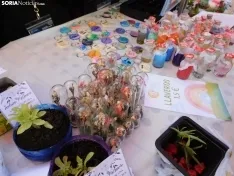 Foto 38 - FOTOS Y NOTICIA | Peque&ntilde;os grandes emprendedores: 250 alumnos se instalan en la plaza del Rosel y San Blas con sus "empresas casi reales"