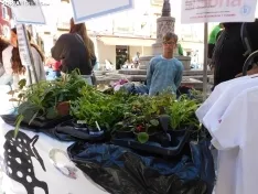 Foto 17 - FOTOS Y NOTICIA | Peque&ntilde;os grandes emprendedores: 250 alumnos se instalan en la plaza del Rosel y San Blas con sus "empresas casi reales"