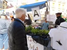 Foto 16 - FOTOS Y NOTICIA | Peque&ntilde;os grandes emprendedores: 250 alumnos se instalan en la plaza del Rosel y San Blas con sus "empresas casi reales"