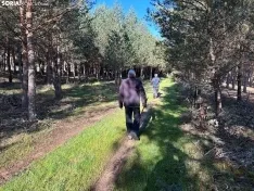 Foto 14 - Ruta: la pe&ntilde;a del duro y su historia