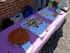 Foto 5 - Risas, juegos y solidaridad: el colegio de Almajano se vuelca contra el cáncer infantil con juegos populares