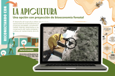 Foto 4 - ASFOSO lanza el proyecto Reconecta, con herramientas para revitalizar actividades sostenibles en fincas forestales privadas