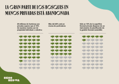 Foto 3 - ASFOSO lanza el proyecto Reconecta, con herramientas para revitalizar actividades sostenibles en fincas forestales privadas