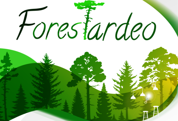 Soria inaugura el ForesTardeo: un afterwork para aprender sobre temas forestales en un ambiente informal