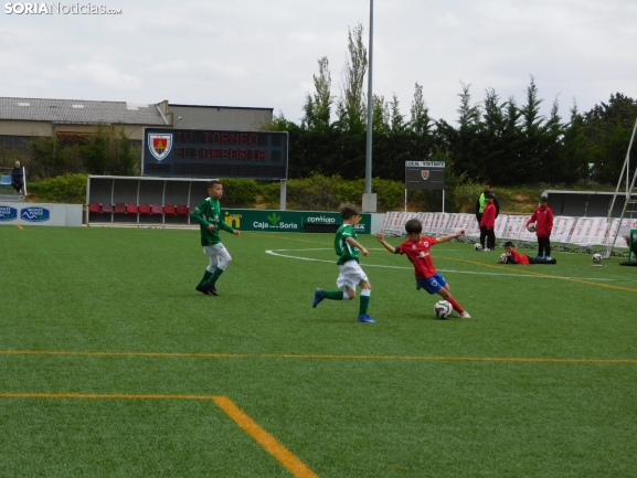 EN FOTOS | ¡Mini cracks en acción! Soria vibra con el fútbol base que se juega en la Ciudad Deportiva Numancia