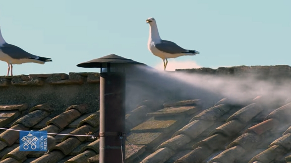 Fumata blanca en el Vaticano: la Iglesia Católica ya tiene nuevo Papa